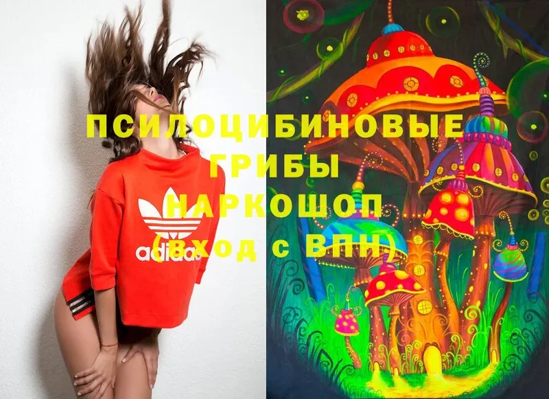 Псилоцибиновые грибы Magic Shrooms  Усолье-Сибирское 